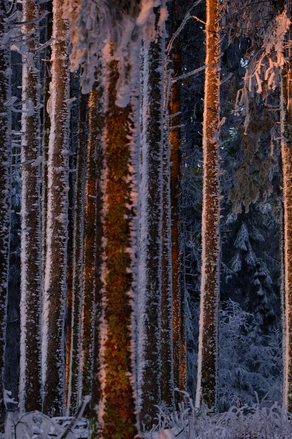 DSCF2602_DxO