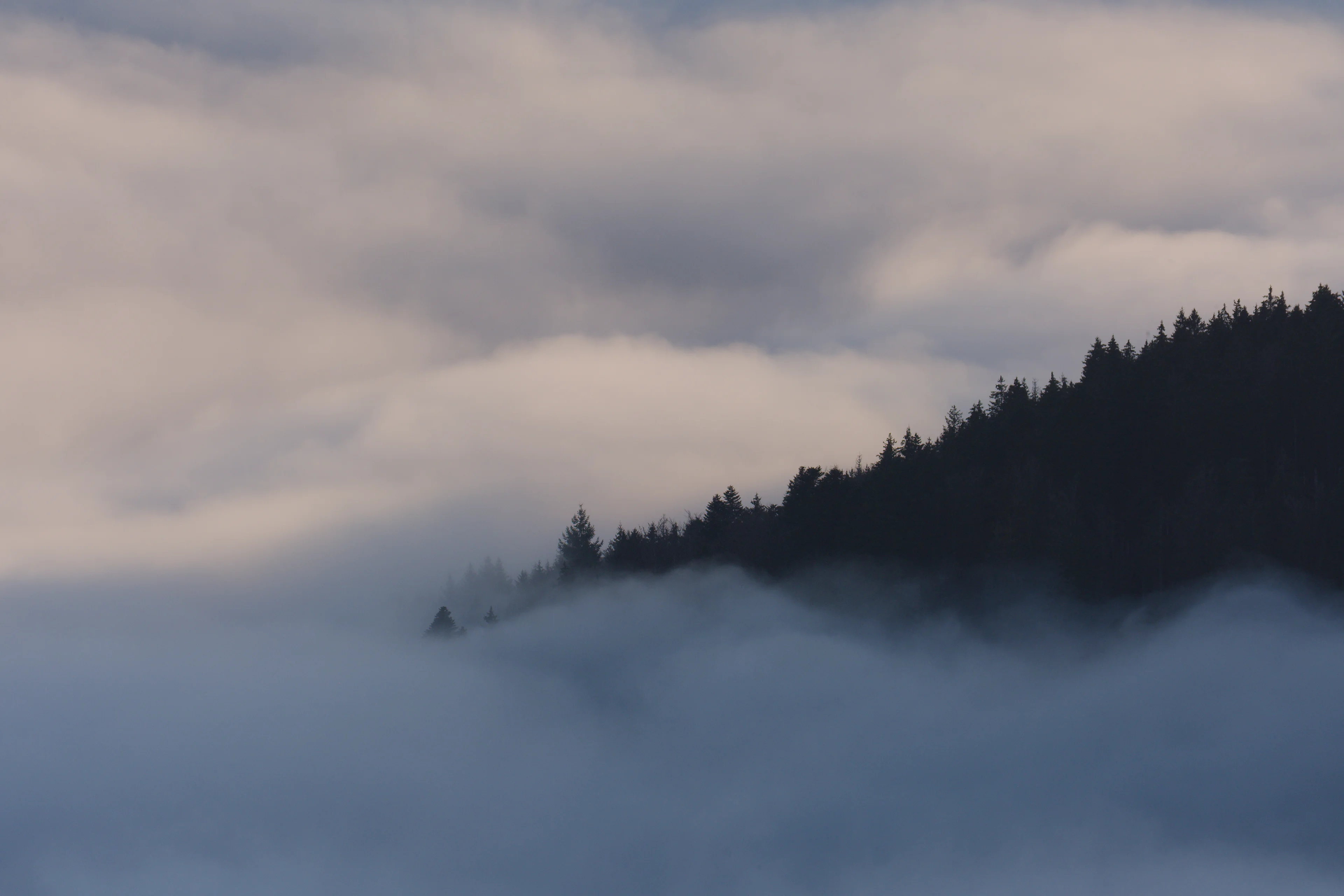 DSCF1808_DxO