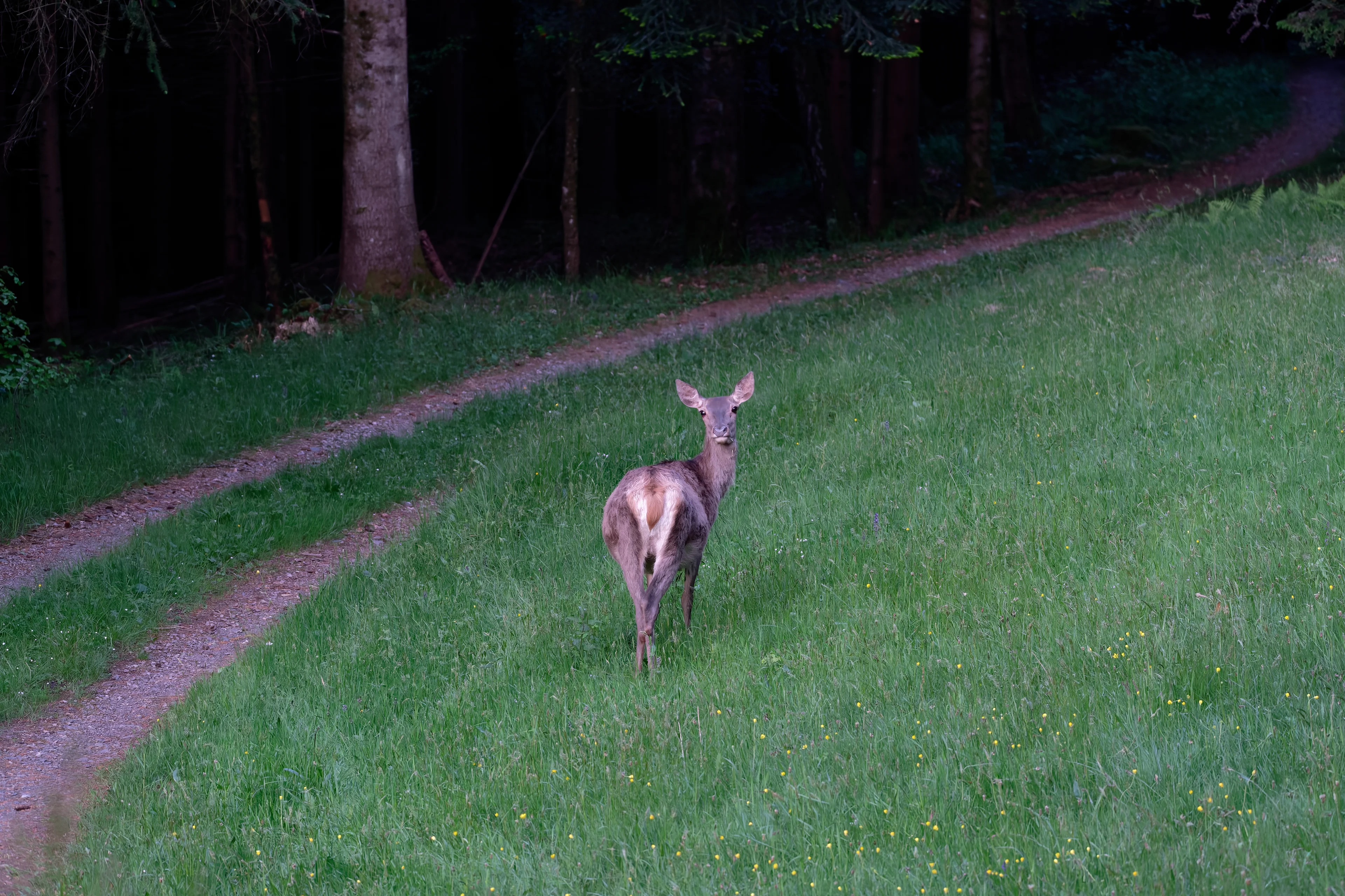 DSCF3869_DxO