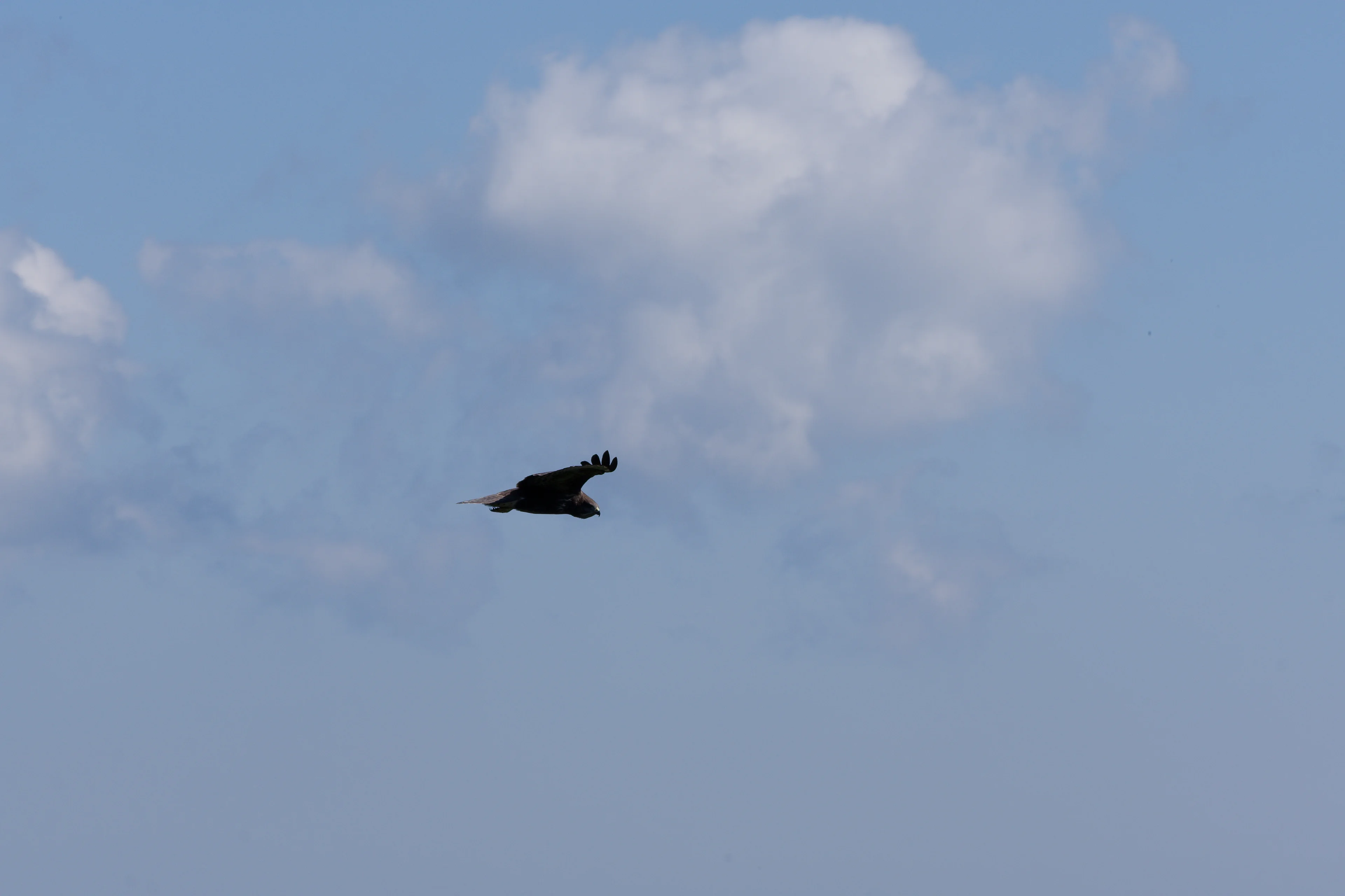 DSCF5584_DxO