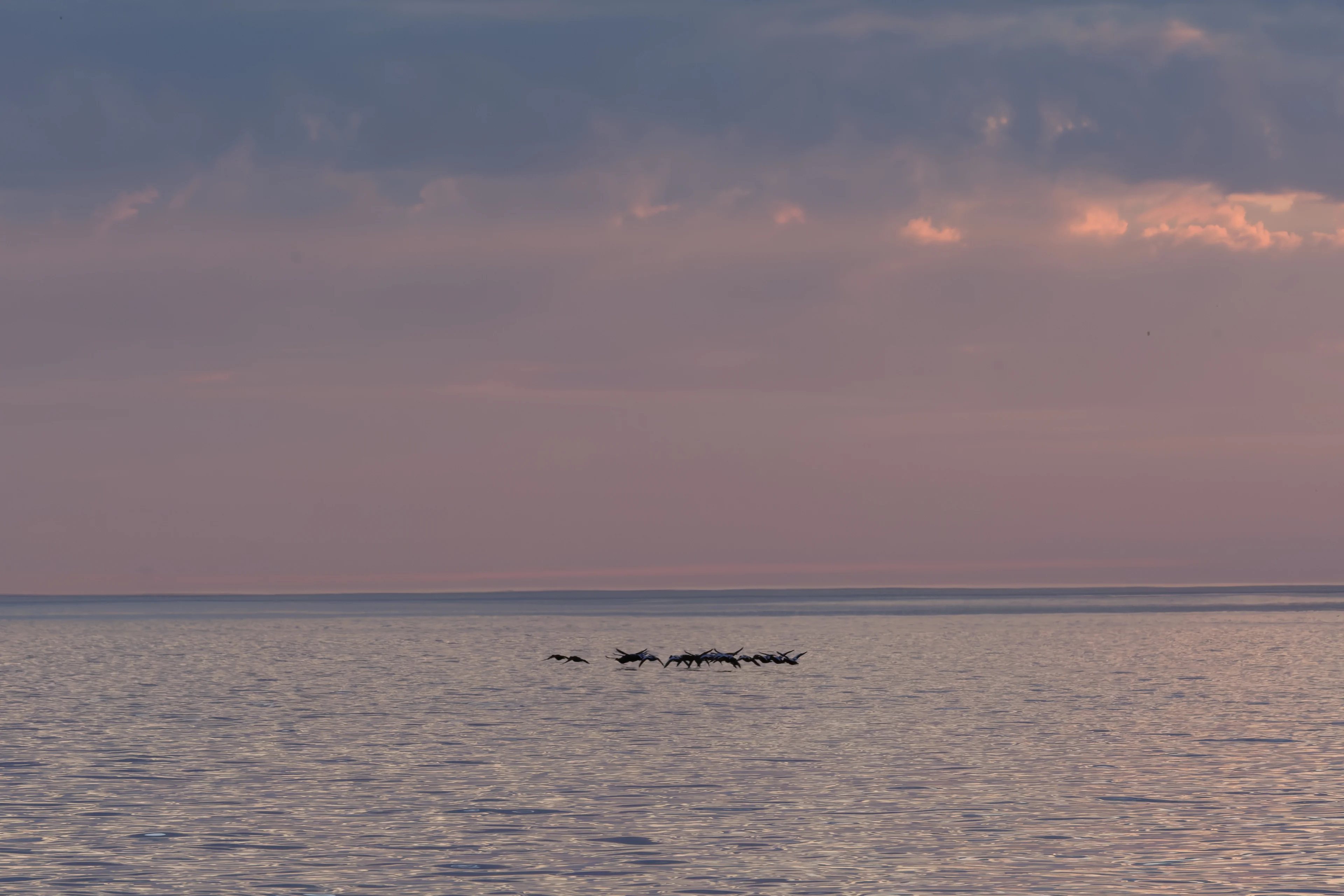 DSCF6342_DxO