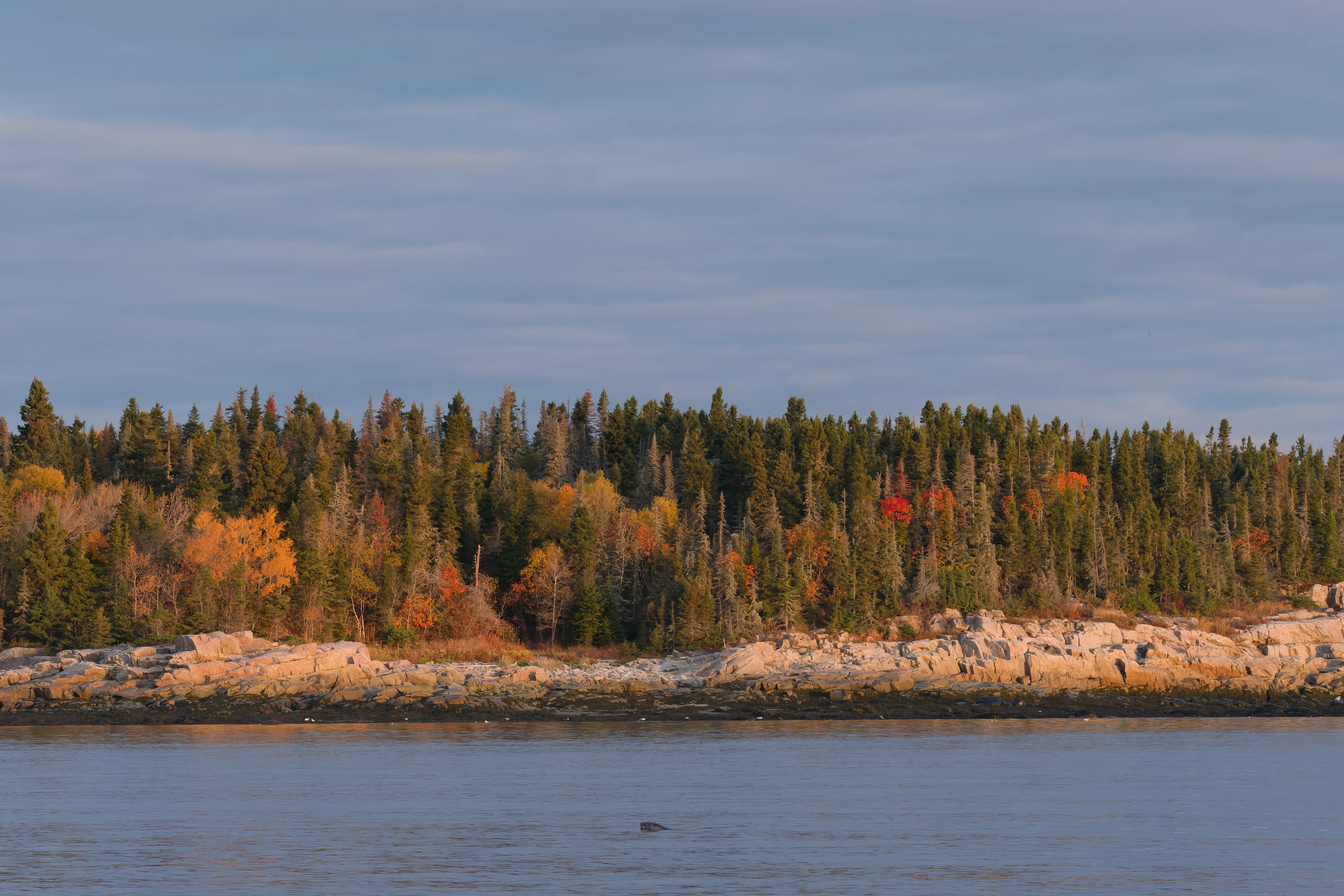 DSCF6384_DxO
