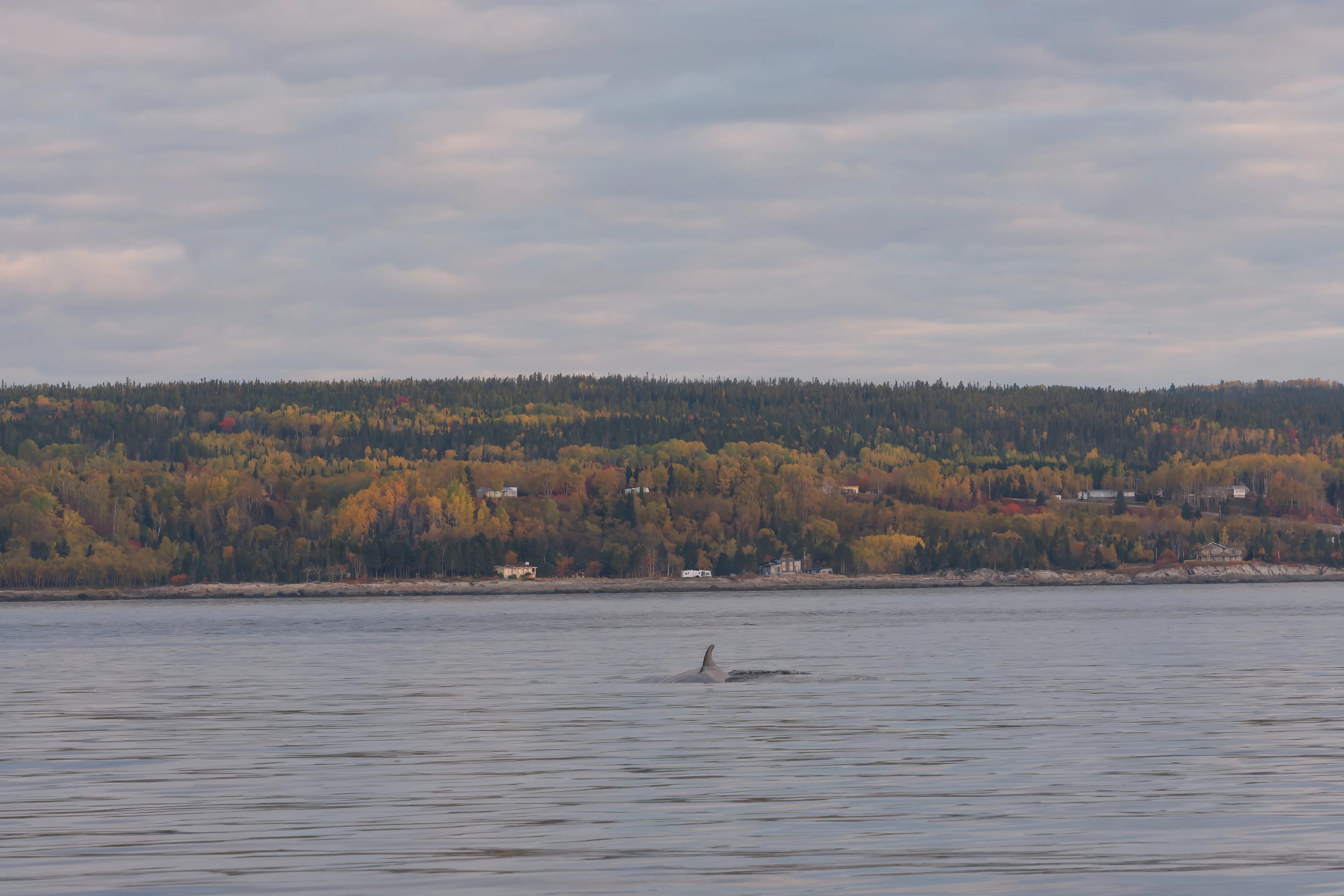 DSCF6397_DxO