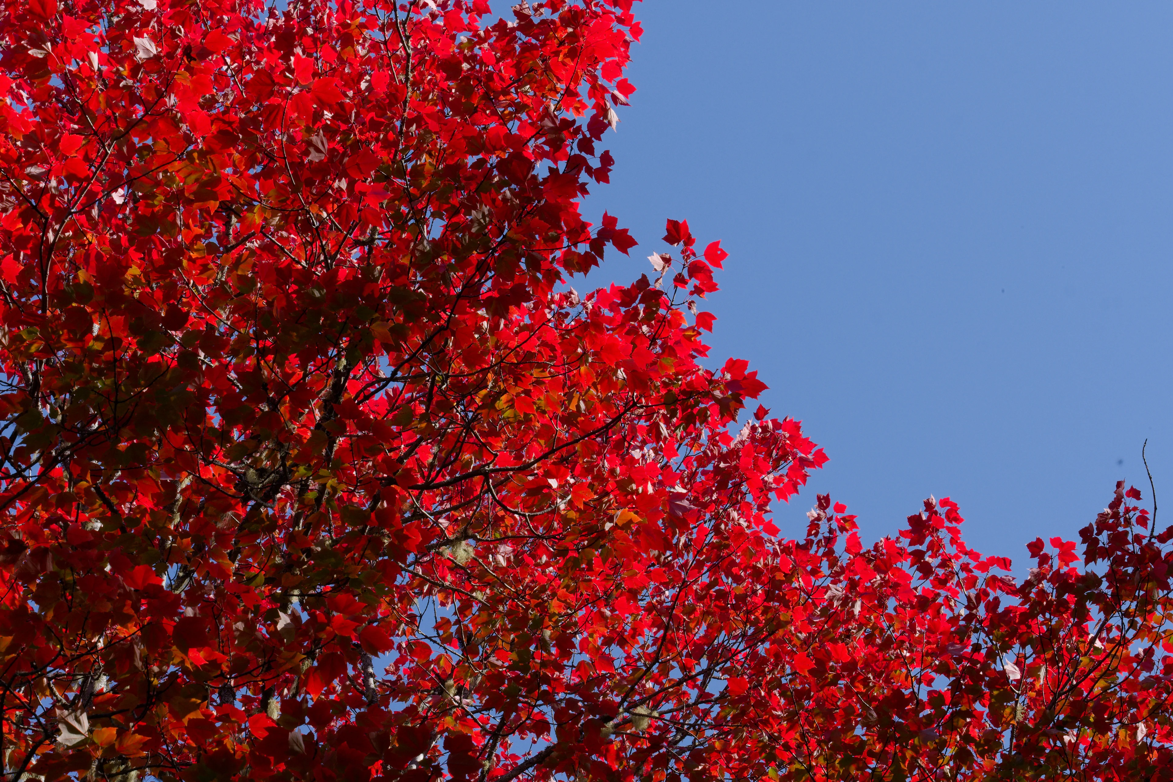 DSCF6709_DxO