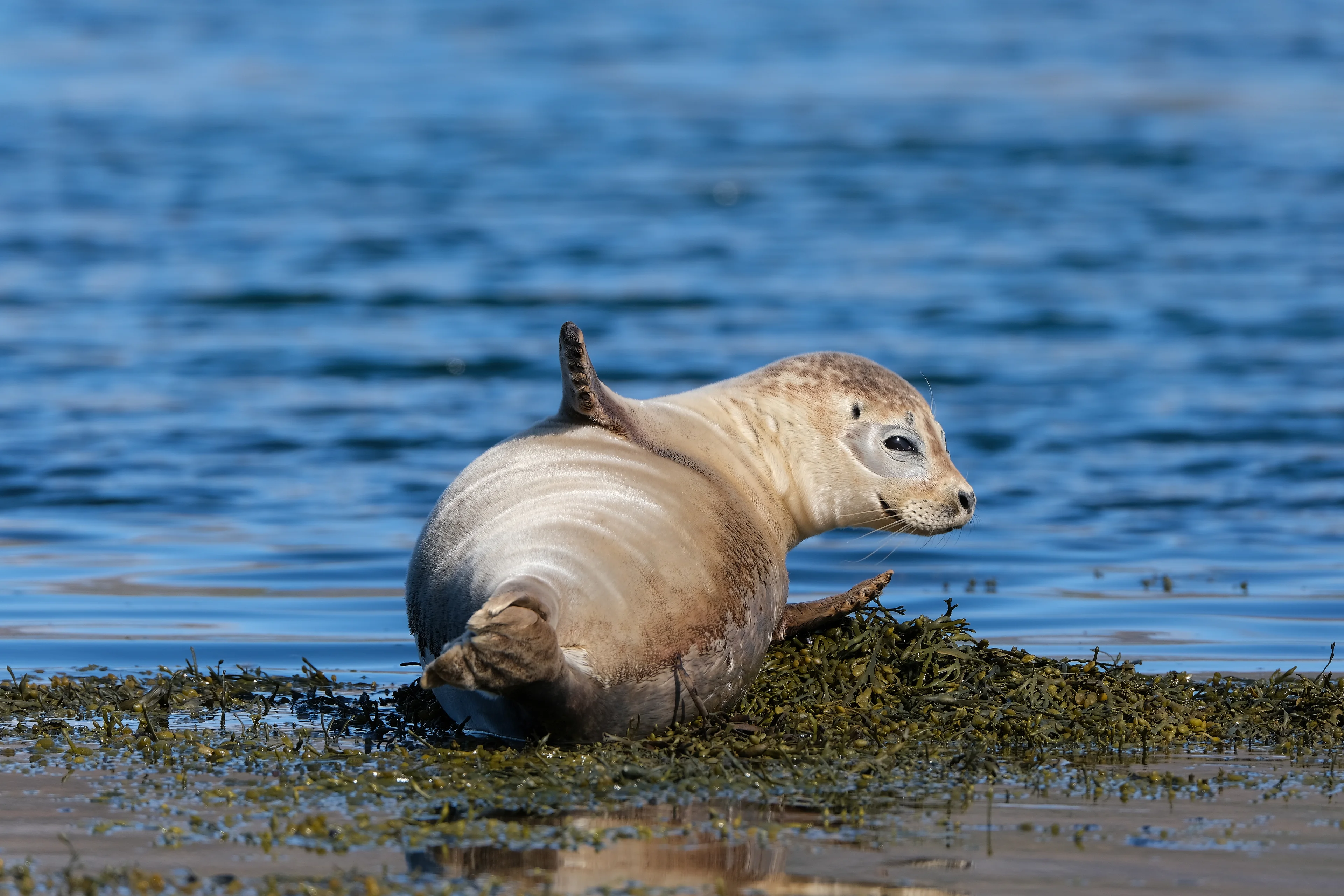DSCF9306_DxO