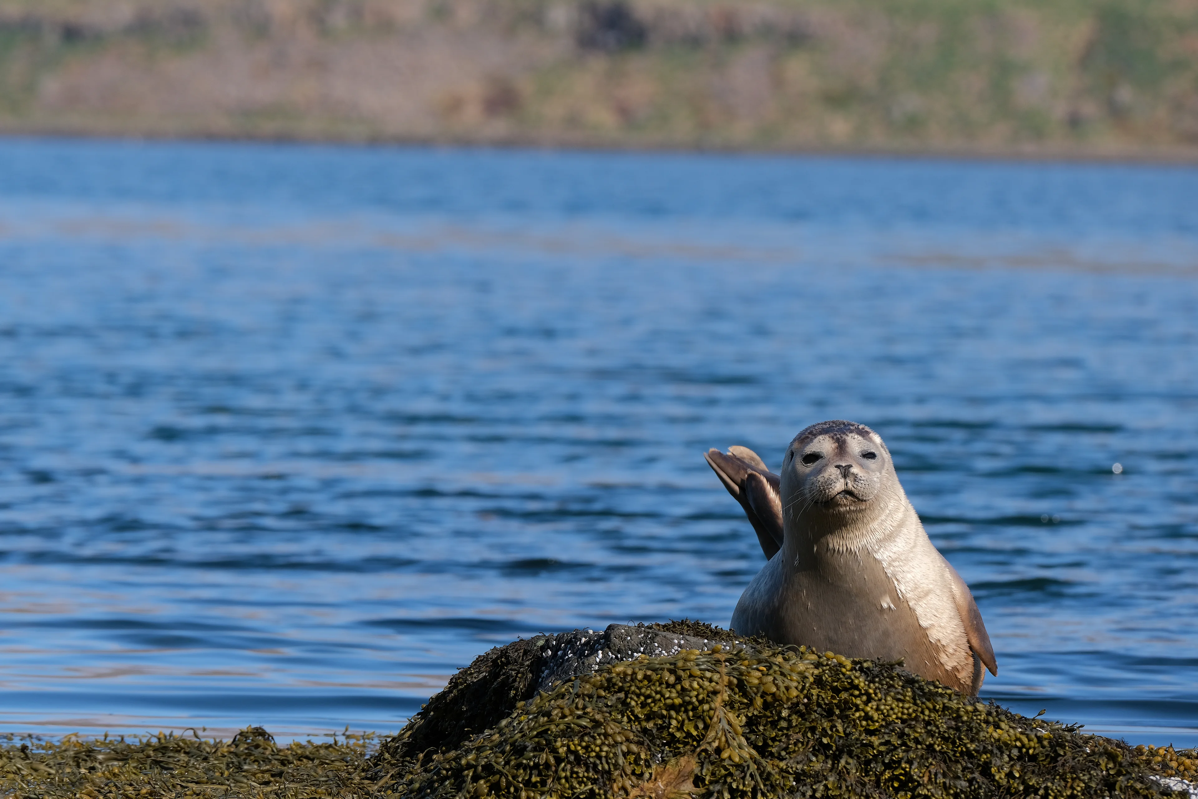 DSCF9323_DxO